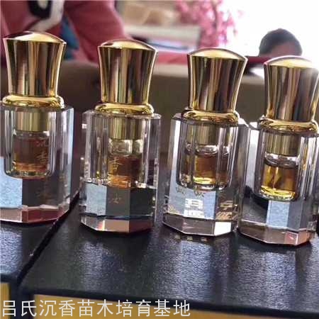 纯正沉香提炼精油10克 纯正沉香提炼精油10克