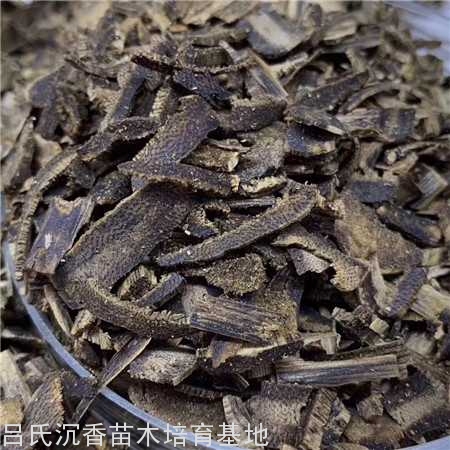 沉水沉香料,克克精品 沉水沉香料,克克精品