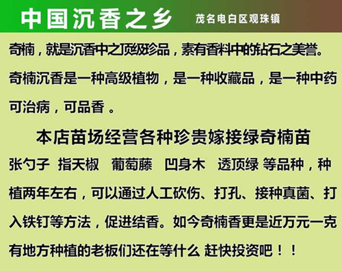 沉香之乡