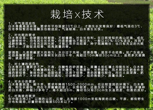 奇楠栽培技术