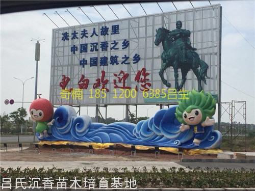 中国奇楠树种植之乡