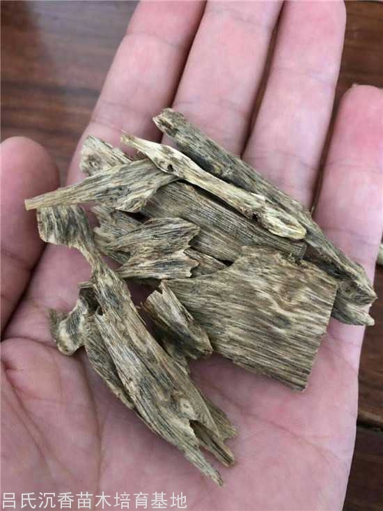 精品奇楠沉香格