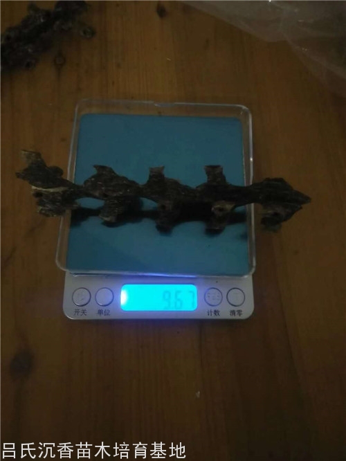 极品沉香木多少钱一克？一克价值上万
