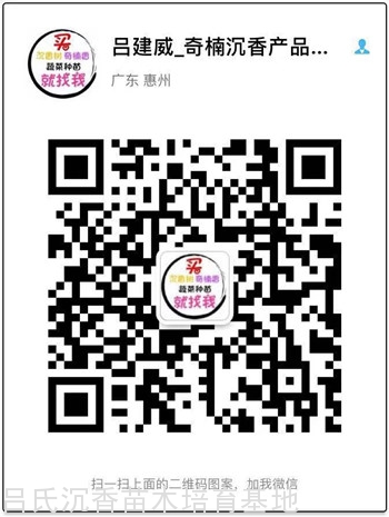 联系微信
