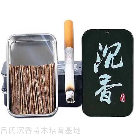 越南芽庄高油沉水烟条 越南芽庄高油沉水烟条