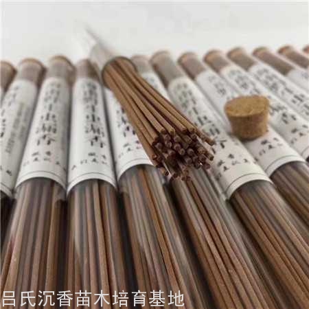 海南虫漏沉香线香