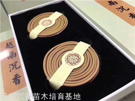 越南沉香盘香
