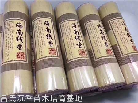 芽庄红土沉香线香