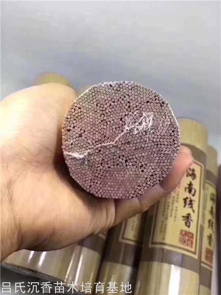 沉香线香哪里买？