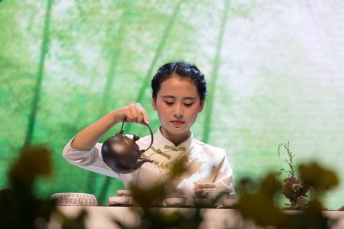 茶文化表演