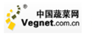 中国蔬菜网