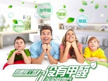 甲醛治理