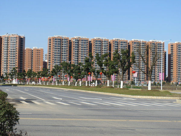 园林景观