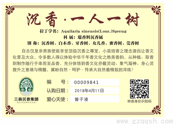 213曾子凌.jpg