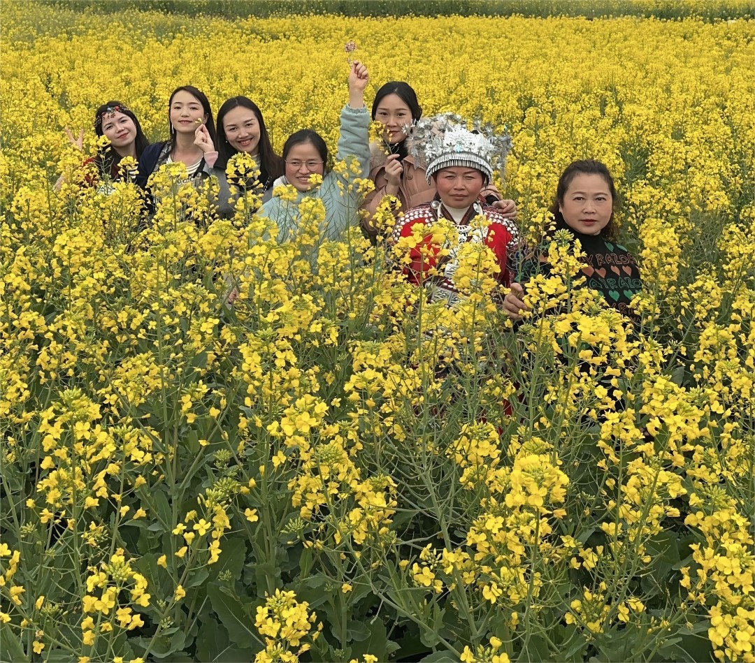 20240313083403_71050.jpg 微信图片_20240311092012(1).jpg