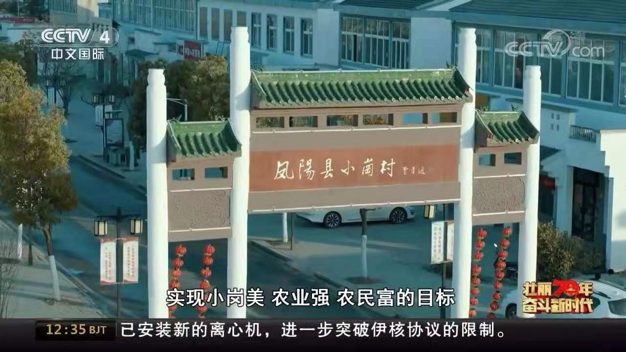 a3.jpg
