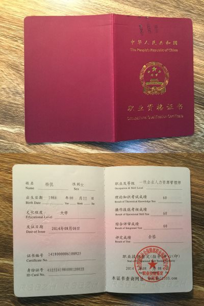 国家一级企业人力资源管理师