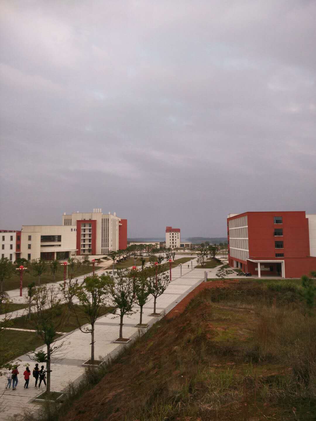 市政道路