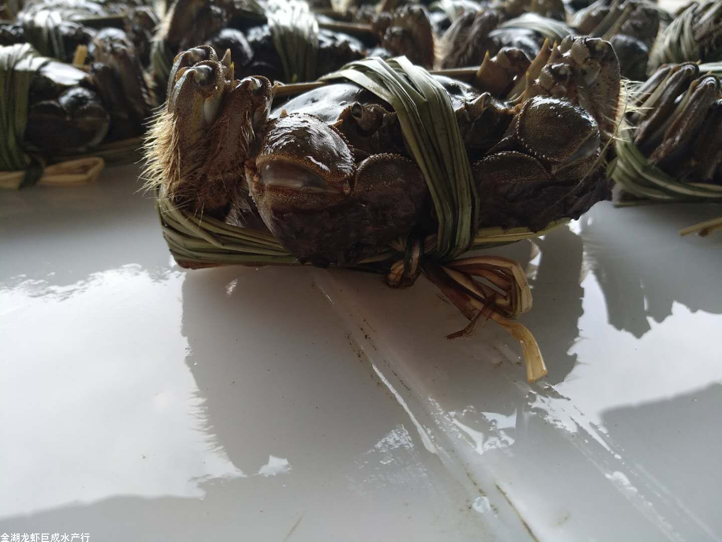 大闸蟹