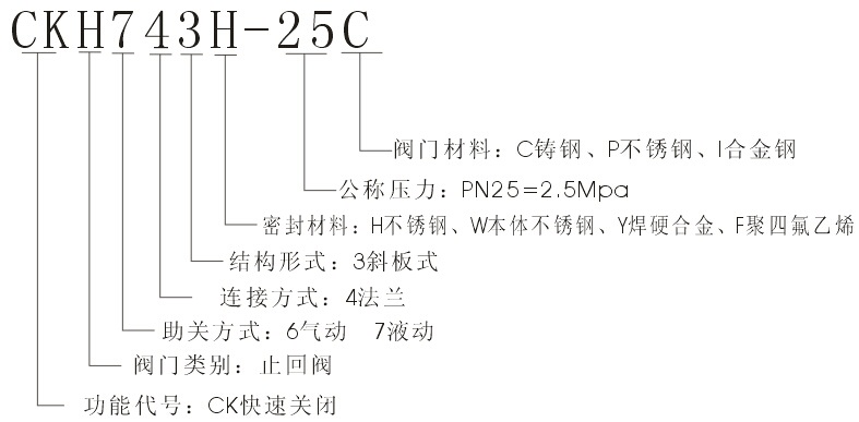 液动止回2.jpg