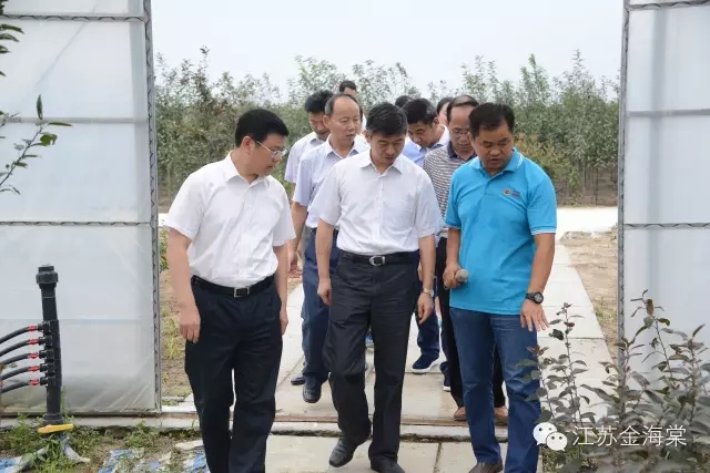 徐州市市委副书记殷本杰在沭阳县县委书记胡建军陪同下参观了江苏