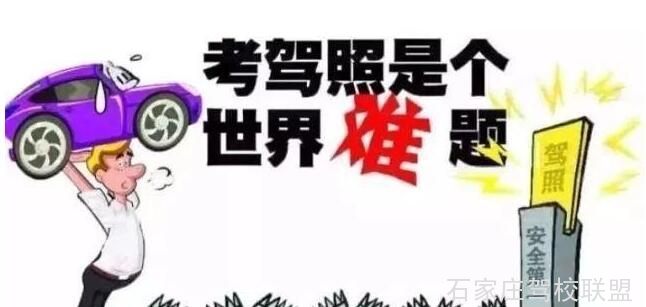 没考驾照看一下 驾校到底考什么 没考驾照看一下 驾校到底考什么