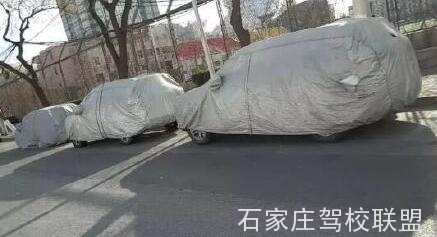这样停车直接扣12分