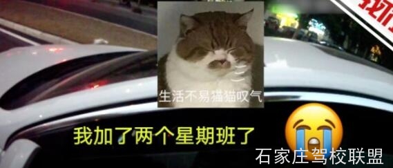 刚拿证的学员,教练建议你... 刚拿证的学员,教练建议你...