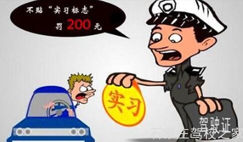 实习驾照注意事项大汇总