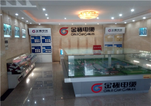 展示