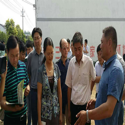 薄壳山核桃技术培训现场