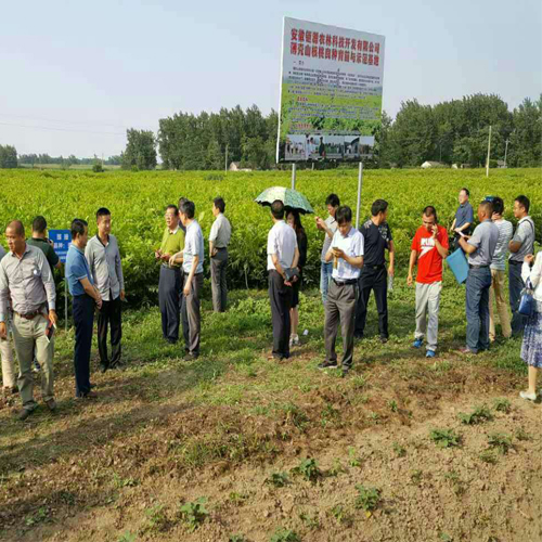 省种苗站龚明副站长授课现场