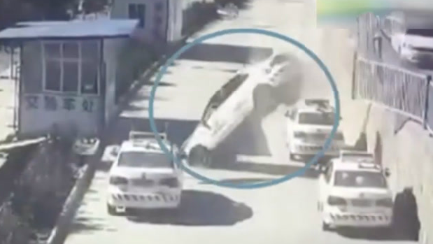 学员油门当刹车,教练需负事故全责 学员油门当刹车,教练需负事故全责