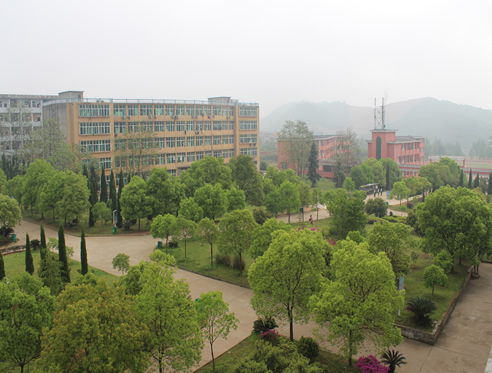 美丽校园2