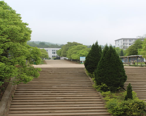 美丽校园1
