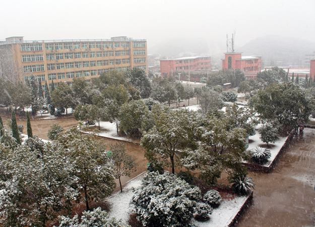 雪中博文