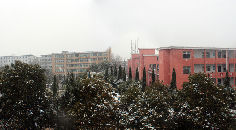 雪中博文