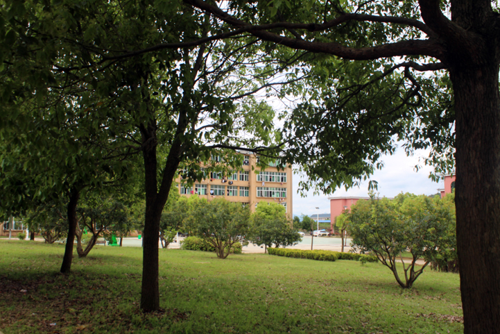 博文之春