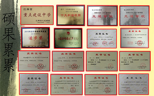 2011年学校荣誉