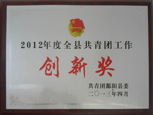 2012年度共青团工作创新奖