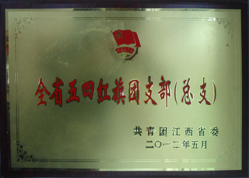 全省五四红旗团支部