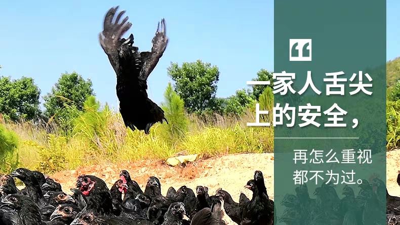 微信图片_20191021123459.jpg