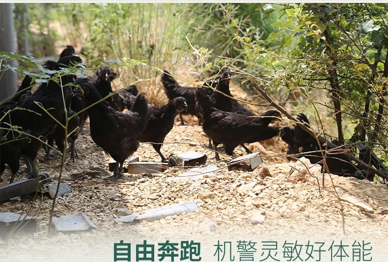 微信图片_20191021123433.jpg