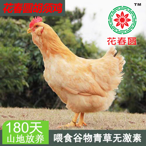 微信图片_20191021123401.jpg