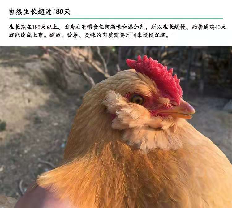 微信图片_20191021123311.jpg