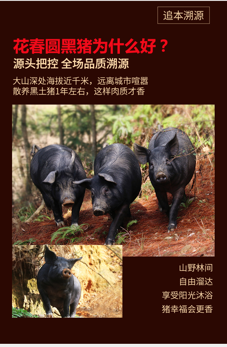 微信图片_20191021121525.jpg