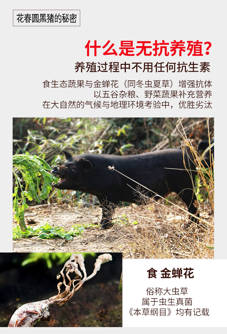 微信图片_20191021121521.jpg