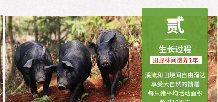 微信图片_20191021121453.jpg