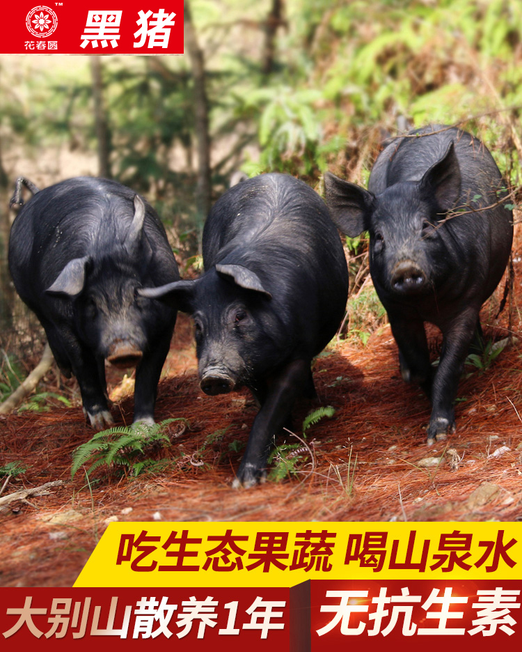 微信图片_20191021121532.jpg
