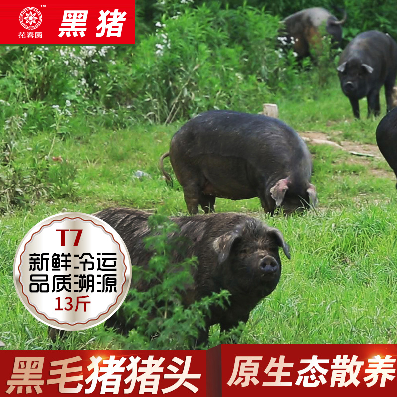 微信图片_20191021121501.jpg